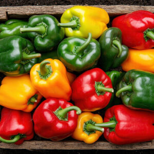 Mixed Peppers Box (5kg)