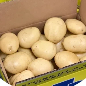 Local Jacket Pots XL (Box of 40)
