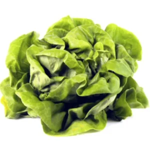 Flat Lettuce (Each)