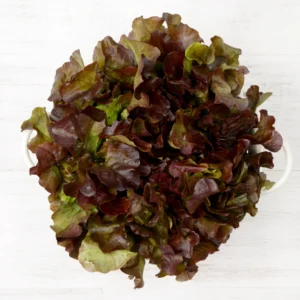 Oakleaf Lettuce (Each)