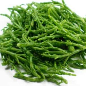 Samphire (1kg bag)