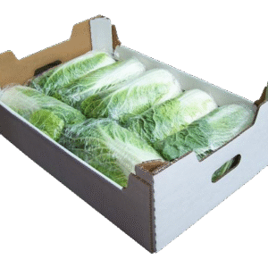 Chinese Leaf Box x 8