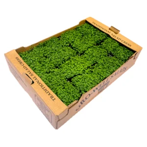 Mustard & Cress (Box of 16)