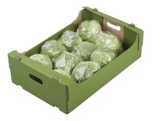 Iceberg Lettuce (Box of 12)