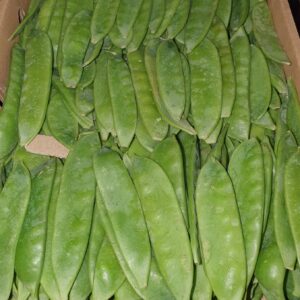 Mangetout Box (1.5kg)