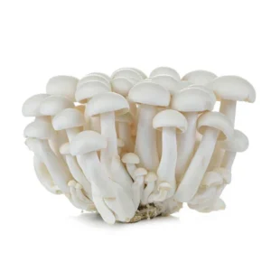 Shimeji Mushrooms (Punnet)