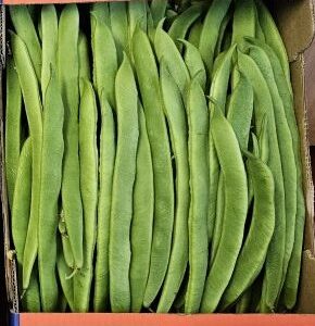 Local Runner Beans (4.5kg Box)
